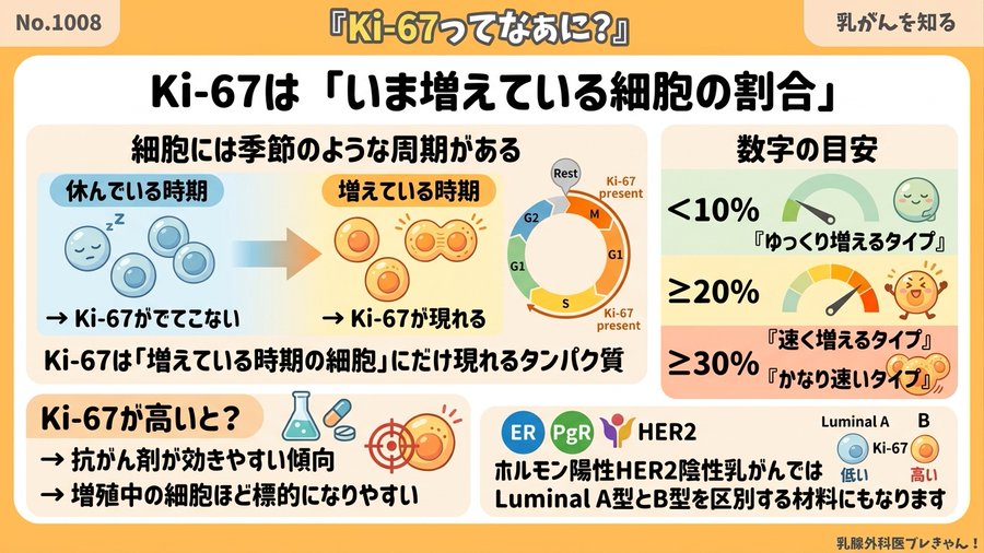 Ki-67ってなあに？